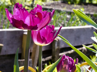 Similar image 7511986