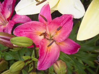 Similar image 7511998