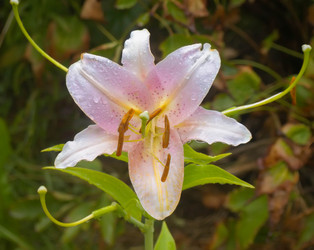 Similar image 7511999