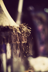 Similar image 7512025