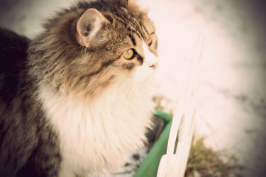 Similar image 7512041