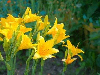 Similar image 7512044