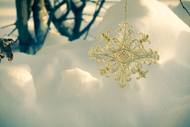 Similar image 7512047