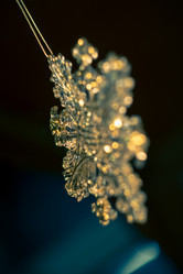 Similar image 7512048