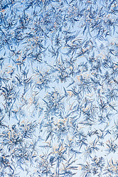 Similar image 7512055