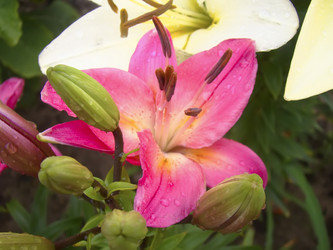 Similar image 7512147