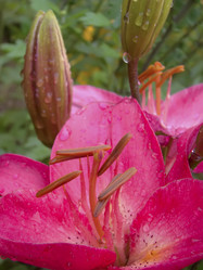 Similar image 7512148