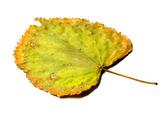 Similar image 7512157