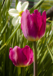 Similar image 7512161