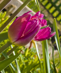 Similar image 7512172