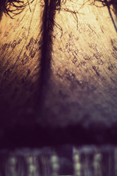 Similar image 7512177