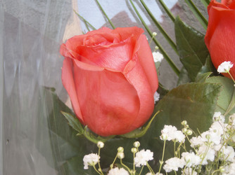 Similar image 7512183