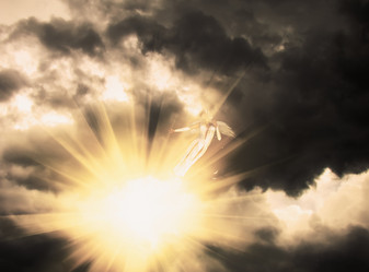 Similar image 7512203