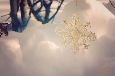 Similar image 7512221