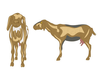 Similar image 7512228