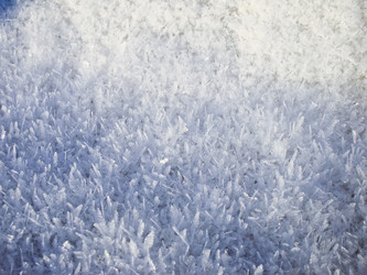 Similar image 7512235