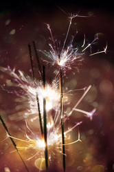 Similar image 7512242