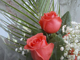 Similar image 7512274