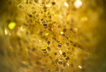 Similar image 7512296