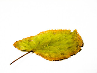 Similar image 7512300