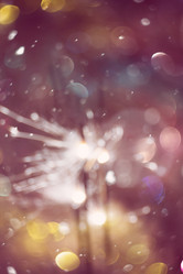 Similar image 7512305