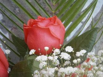 Similar image 7512316