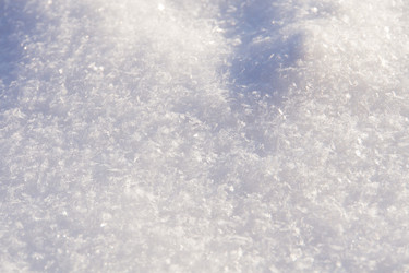 Similar image 7512317