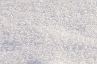 Similar image 7512318