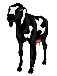 Similar image 7512339