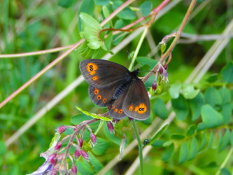 Similar image 7512358