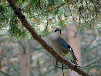 Similar image 7512359