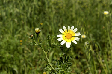 Similar image 7512371