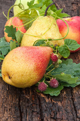 Similar image 7512452