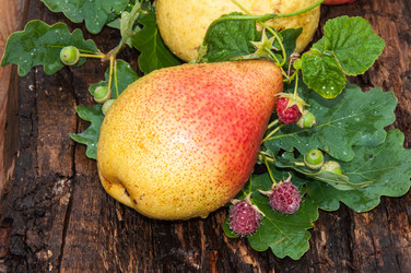 Similar image 7512453