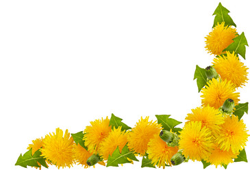 Similar image 7512455