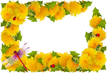 Similar image 7512456