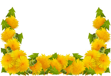 Similar image 7512484