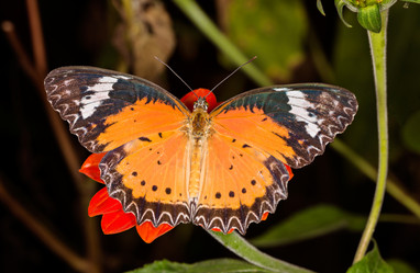 Similar image 7512613