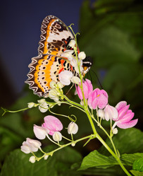 Similar image 7512616