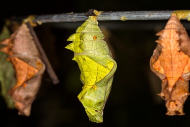 Similar image 7512629