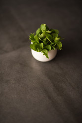 Similar image 7512633