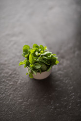 Similar image 7512635