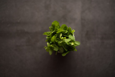 Similar image 7512641