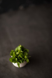 Similar image 7512642