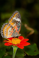 Similar image 7512646