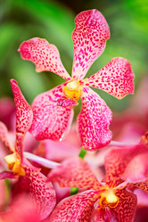 Similar image 7512657