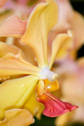 Similar image 7512659