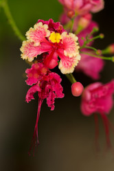 Similar image 7512665