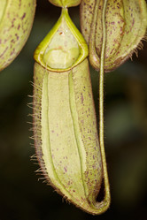 Similar image 7512666