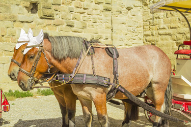 Similar image 7513085